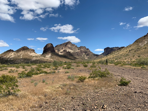 An image depicting the trail Saddle Mountain Trail and its surrounding area.