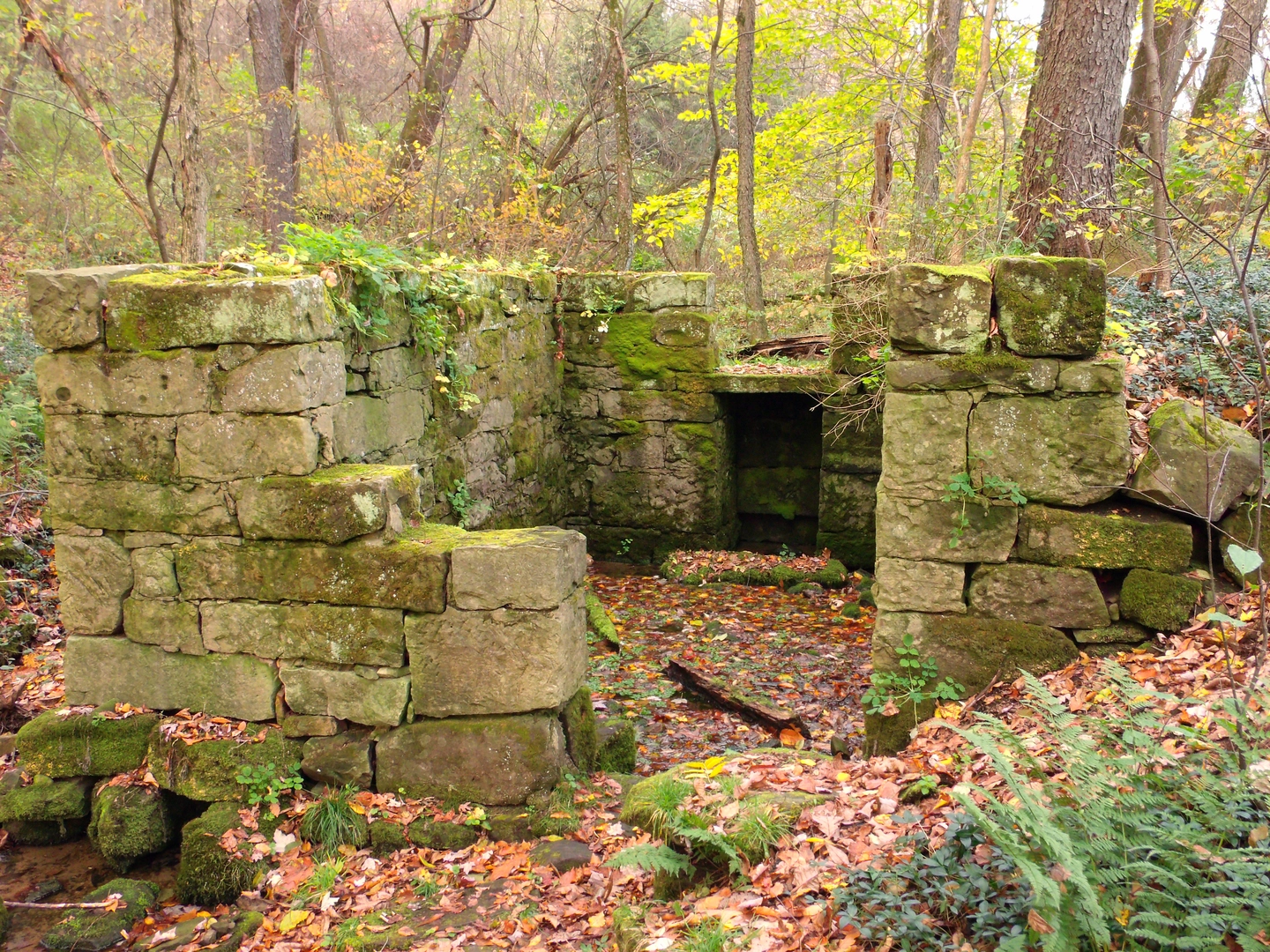An image depicting the trail Goddard Park Loop and its surrounding area.