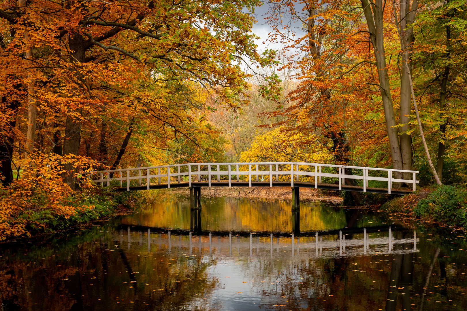 An image depicting the trail Landgoed Clingendael Loop and its surrounding area.