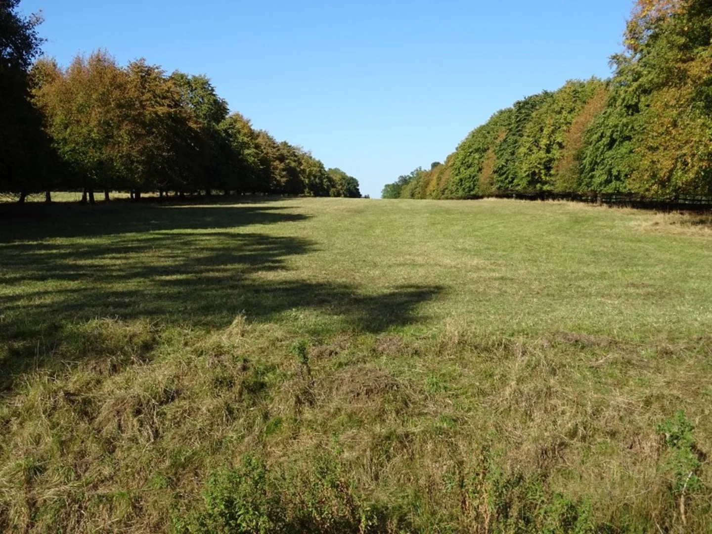 An image depicting the trail Corsham to Box Peacock Trail and its surrounding area.