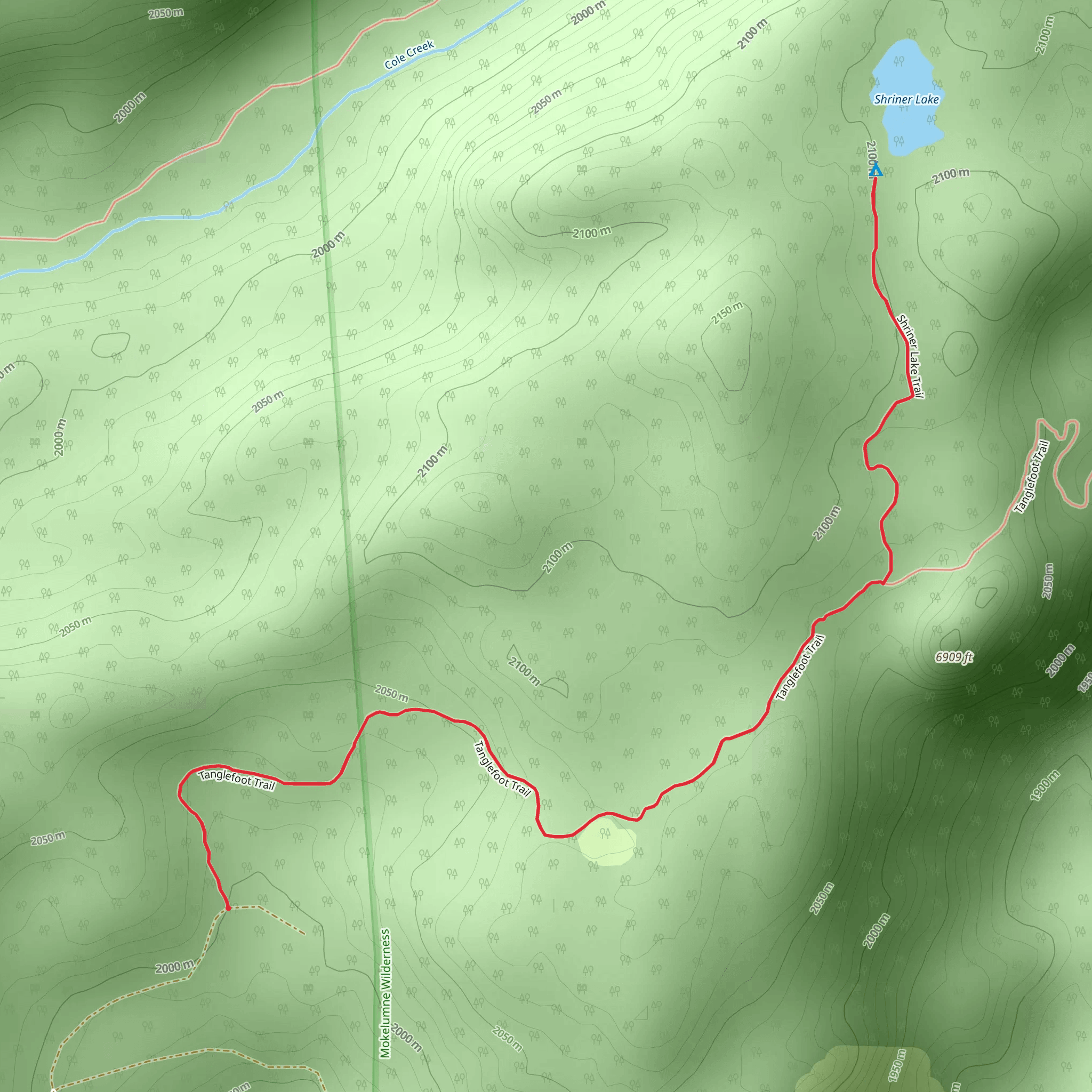 Shriner Lake via Tanglefoot Trail mobile static map