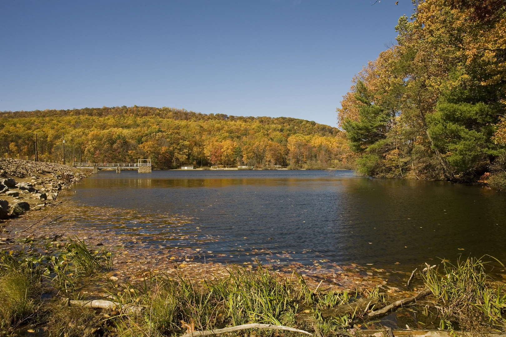 An image depicting the trail Lebanon Reservoir from Gold Mine Road Out and Back and its surrounding area.
