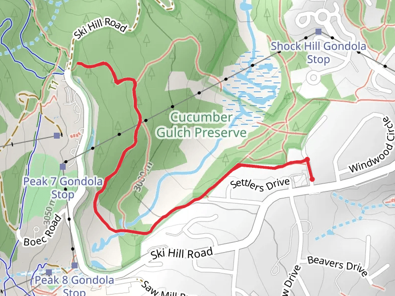 Morning Glory via Baby Doe