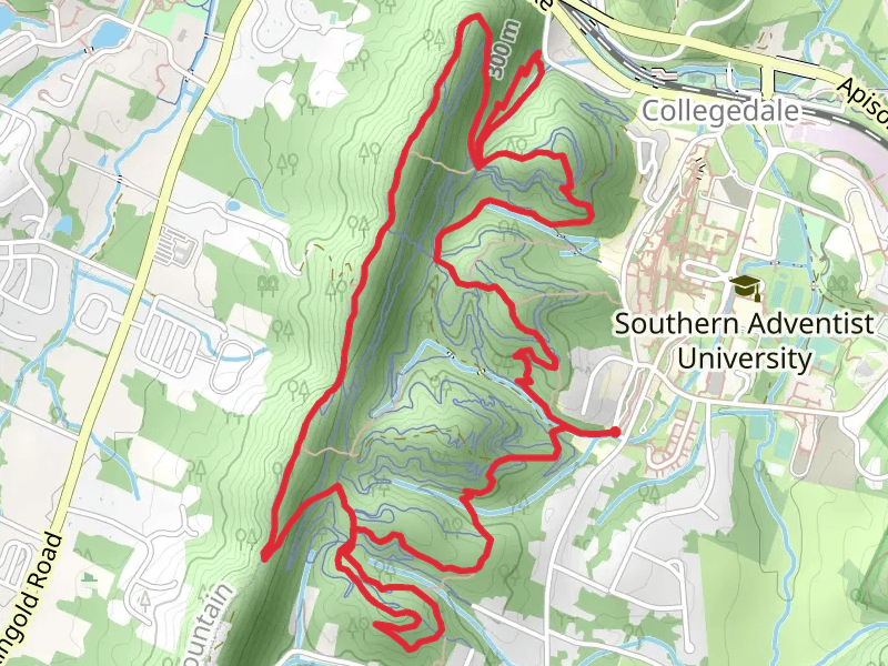 Dogwood and White Oak Ridge Loop