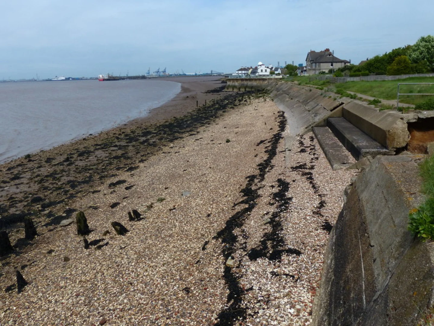 An image depicting the trail Hedon to Thorngumbald Loop and its surrounding area.