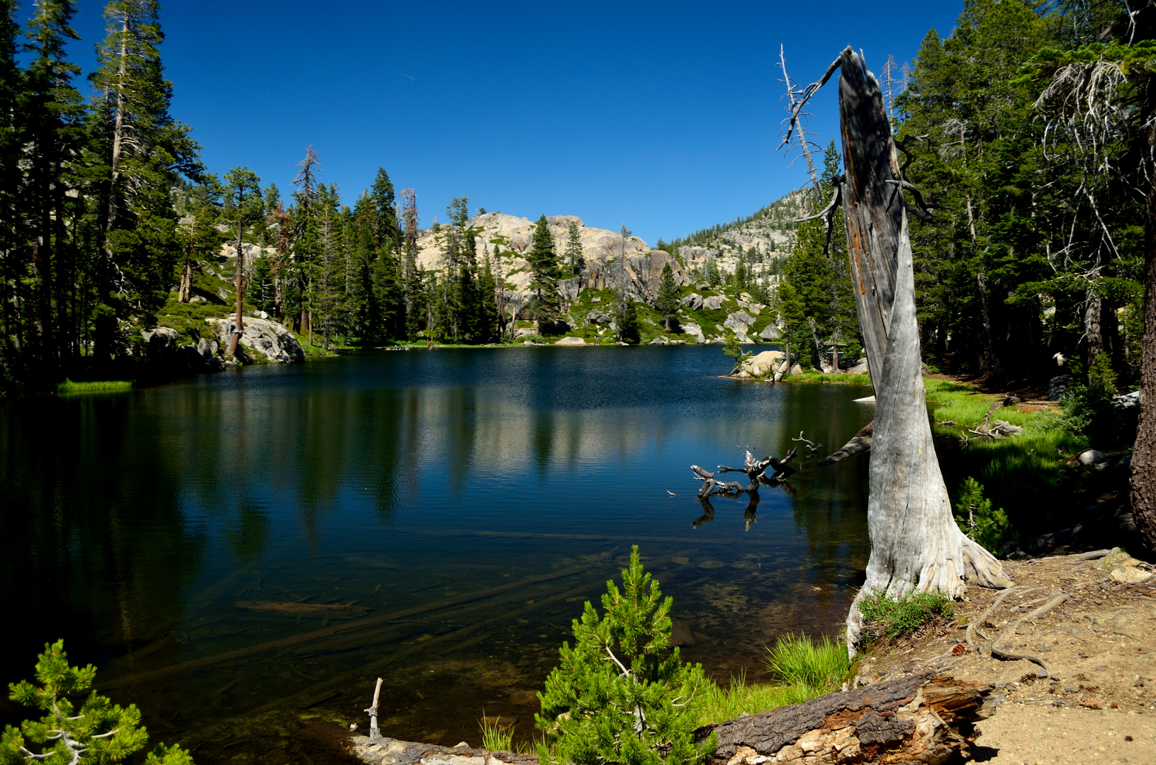 An image depicting the trail Bear and Camp Lake via Crabtree Trail and its surrounding area.