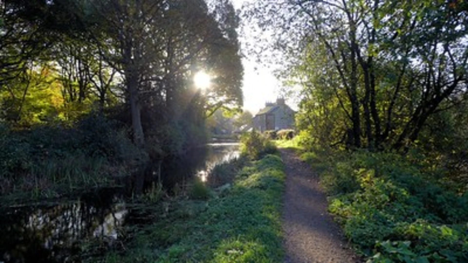 An image depicting the trail Crich Chase Loop and its surrounding area.