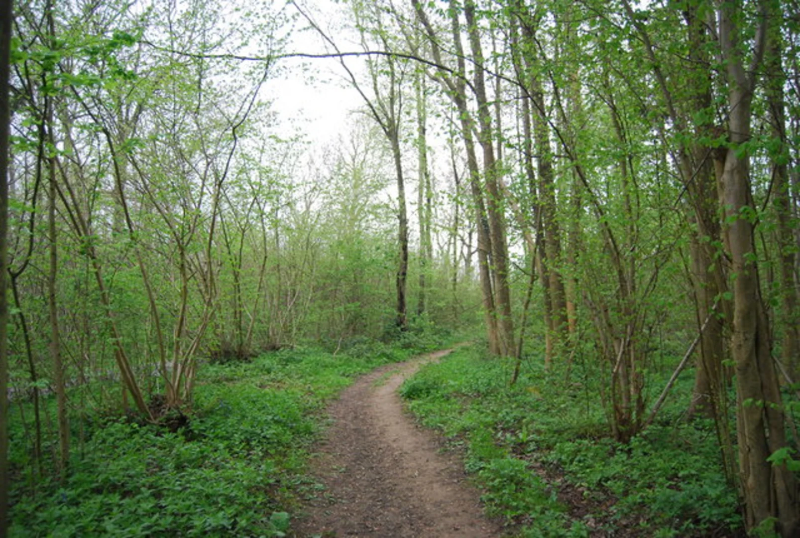 An image depicting the trail Greensand Way and Godinton Park Circular Walk and its surrounding area.