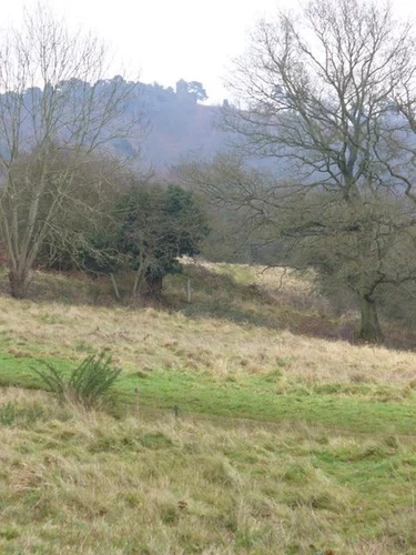 Shalford Circular Walk