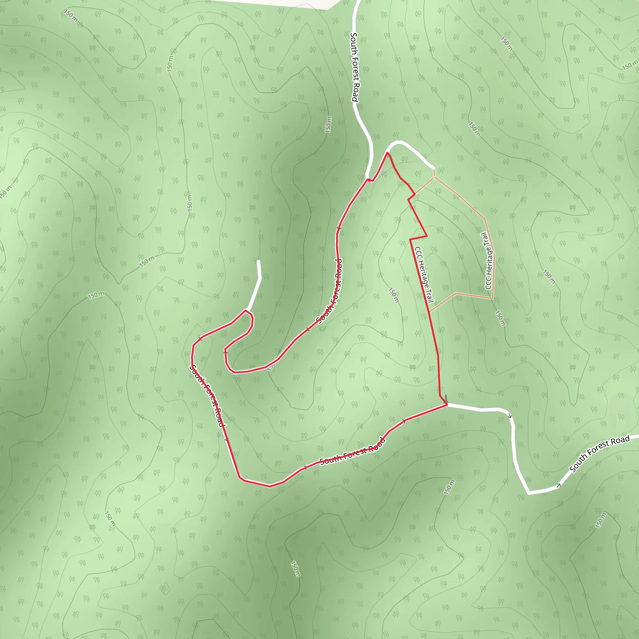 South Forest Road Loop mobile static map