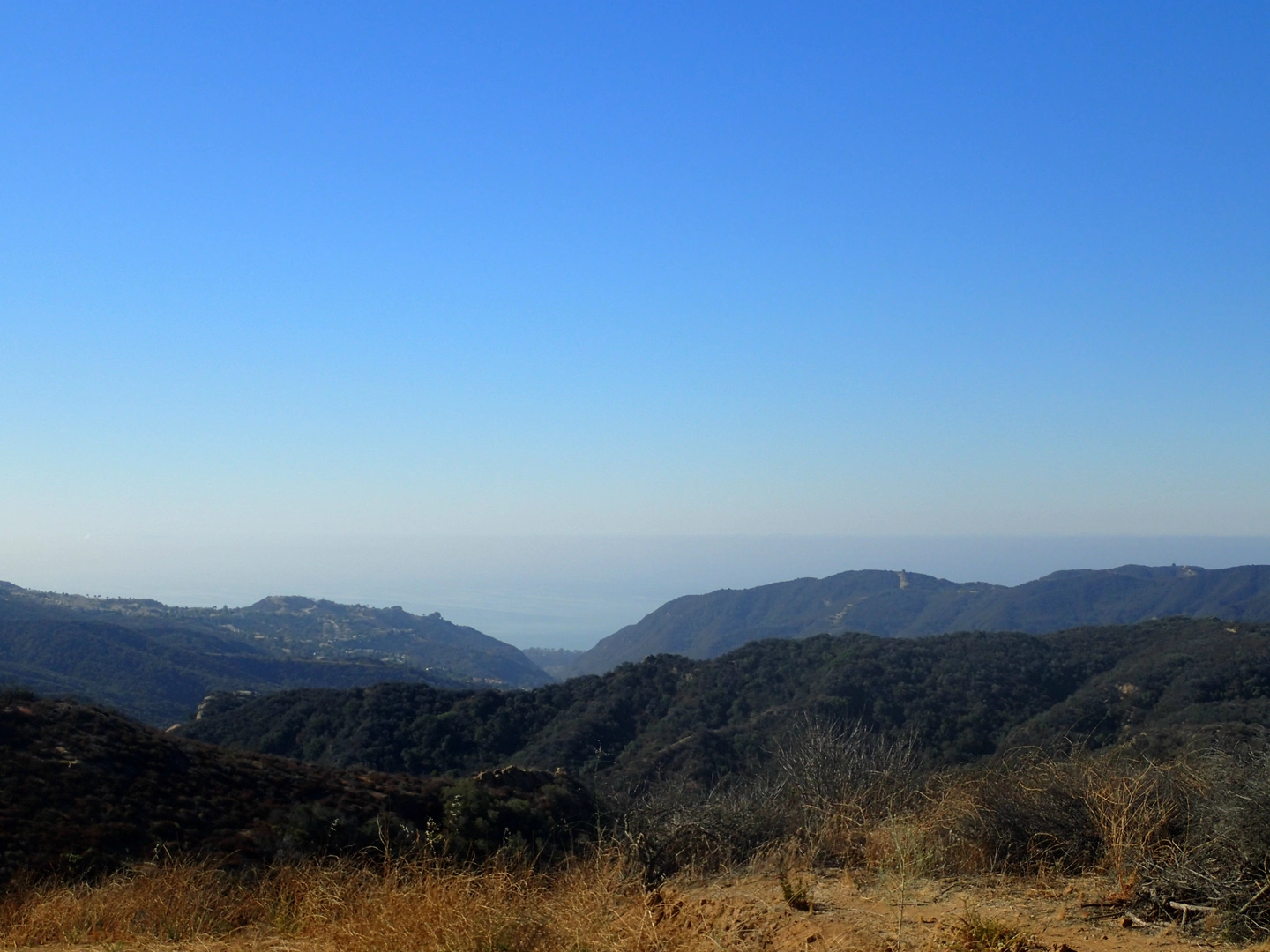 An image depicting the trail Sullivan Ridge Trail and Sullivan Canyon Trail and its surrounding area.
