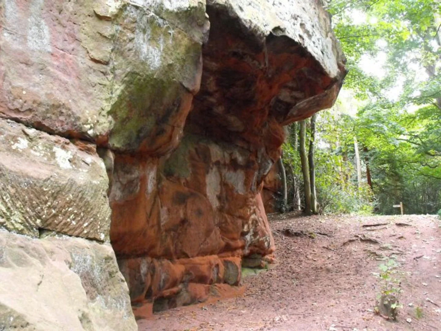 An image depicting the trail Nesscliffe Hill Country Park Loop and its surrounding area.