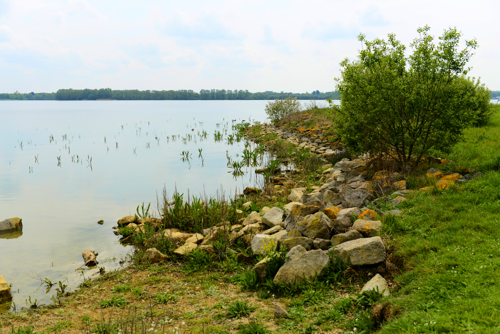 An image depicting the trail Three Shires Way and its surrounding area.