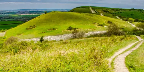 An image depicting the trail Bridgewater Monument to Pitstone Windmill Circular Walk and its surrounding area.
