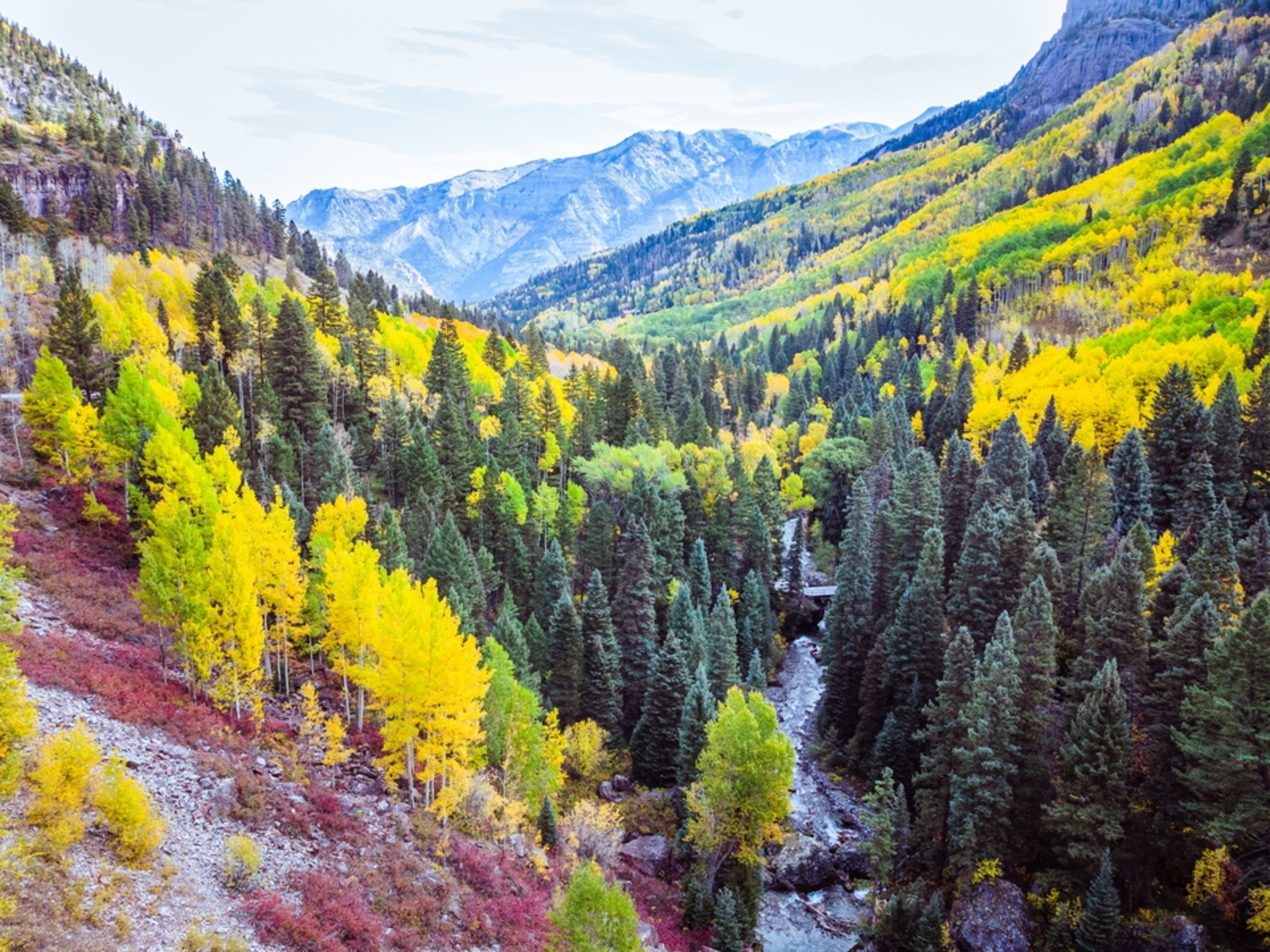 An image depicting the trail Virginius Mine Trail and its surrounding area.
