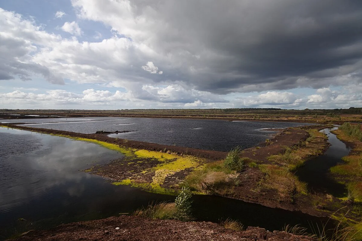 Himmelmoor Loop via Moorlehrpfad