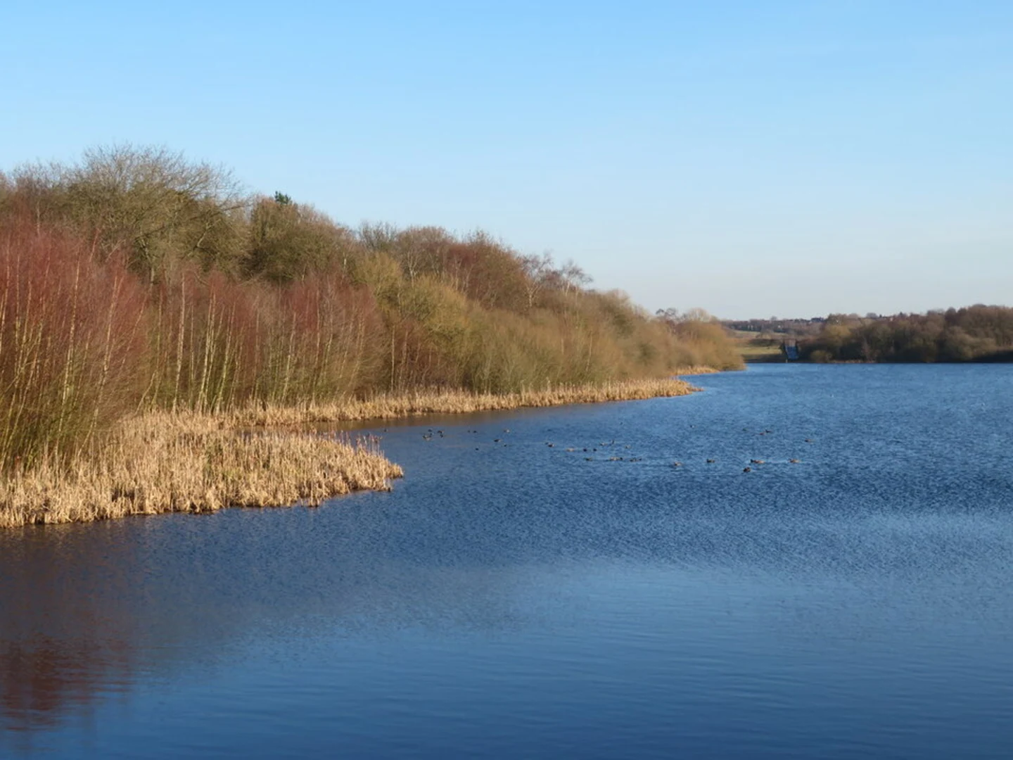 An image depicting the trail Barnsley Canal Walk and its surrounding area.