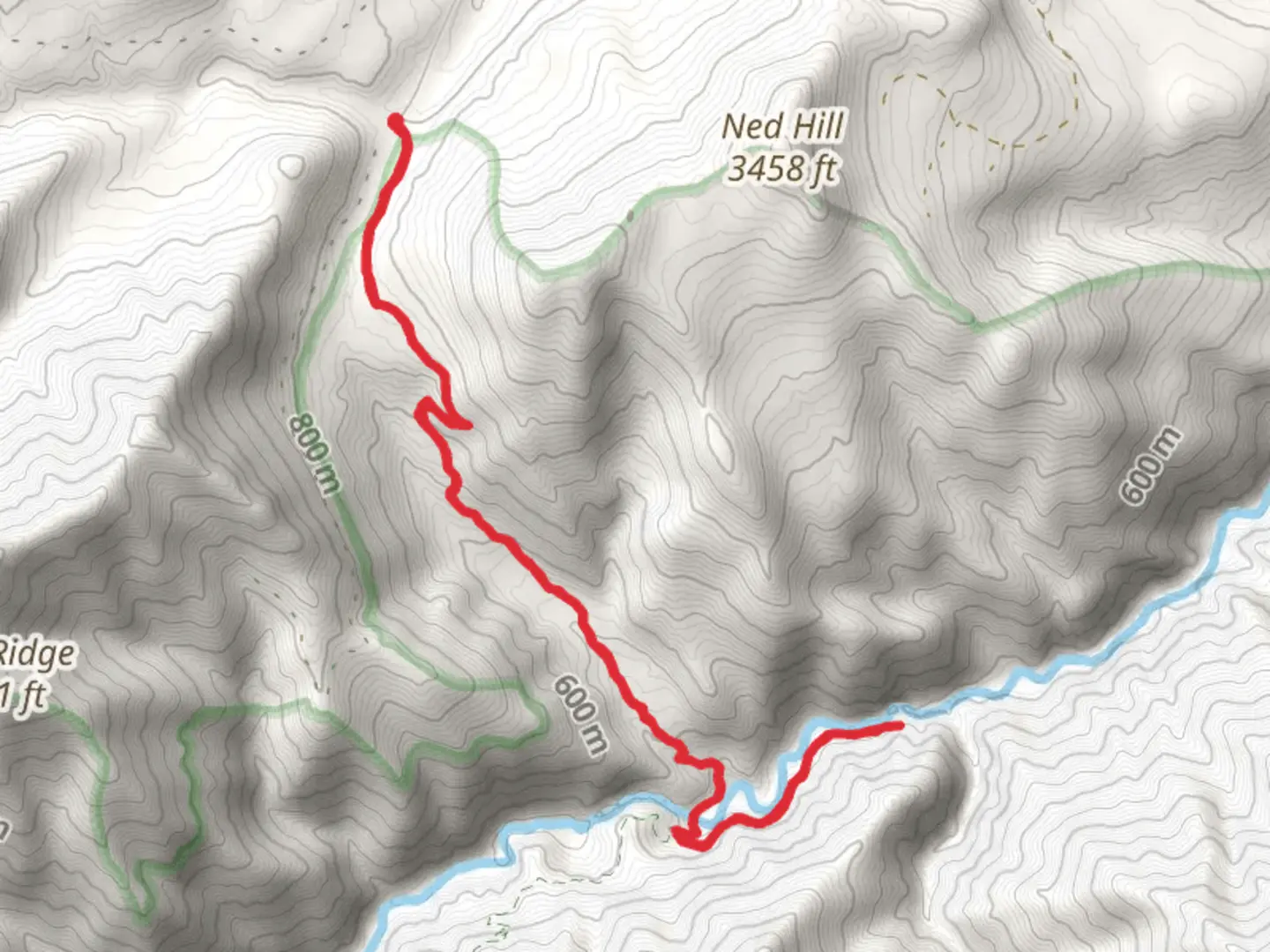 An image depicting the trail Gray Wolf Camp Tony Trail and its surrounding area.
