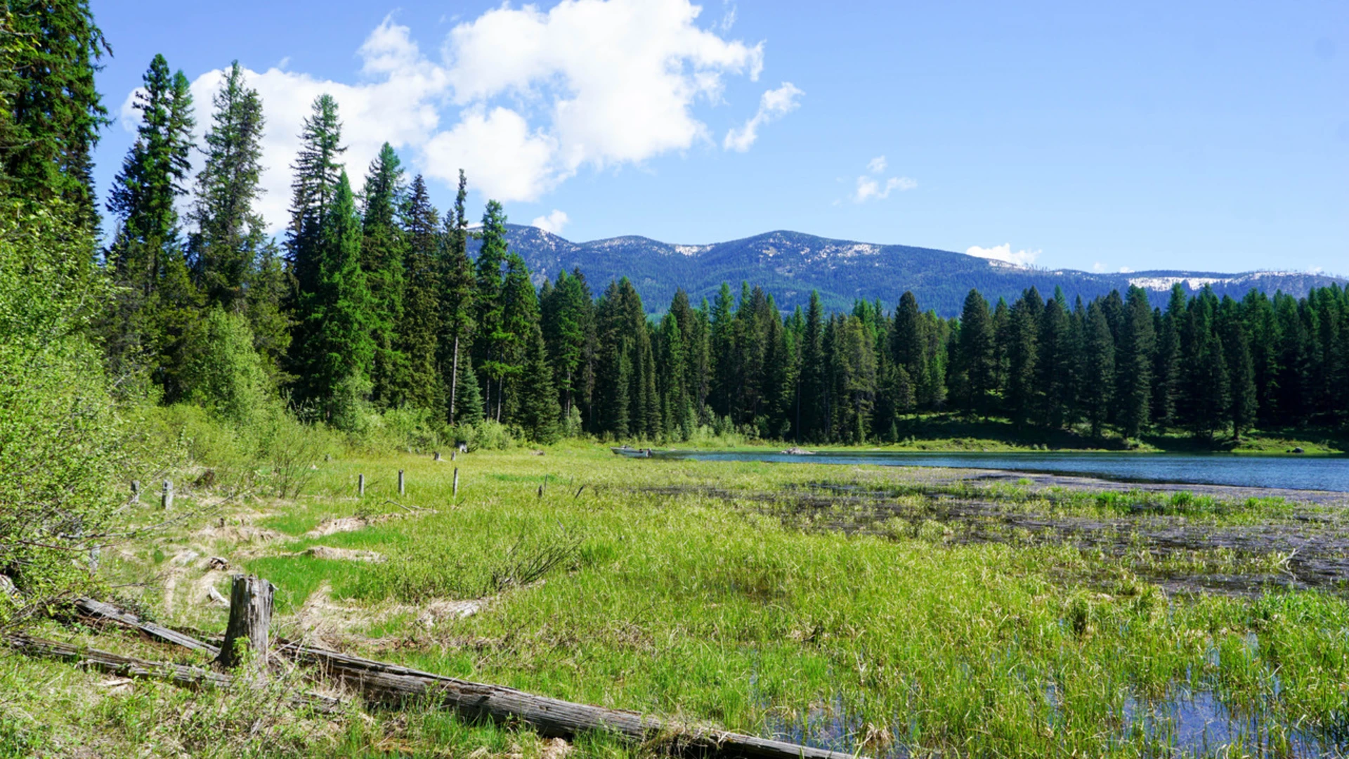 An image depicting the trail Finger Lake Trail and its surrounding area.