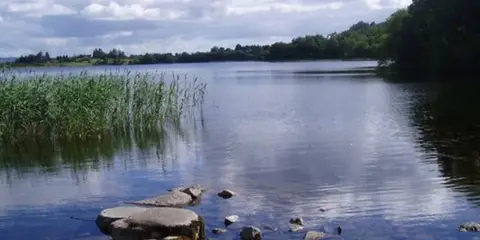 An image depicting the trail Callow Loop Walk and its surrounding area.
