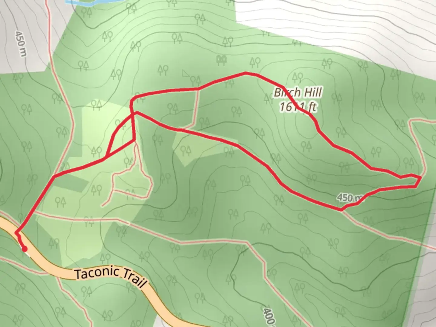 An image depicting the trail Sara Tenney Trail and Birch Hill Loop and its surrounding area.