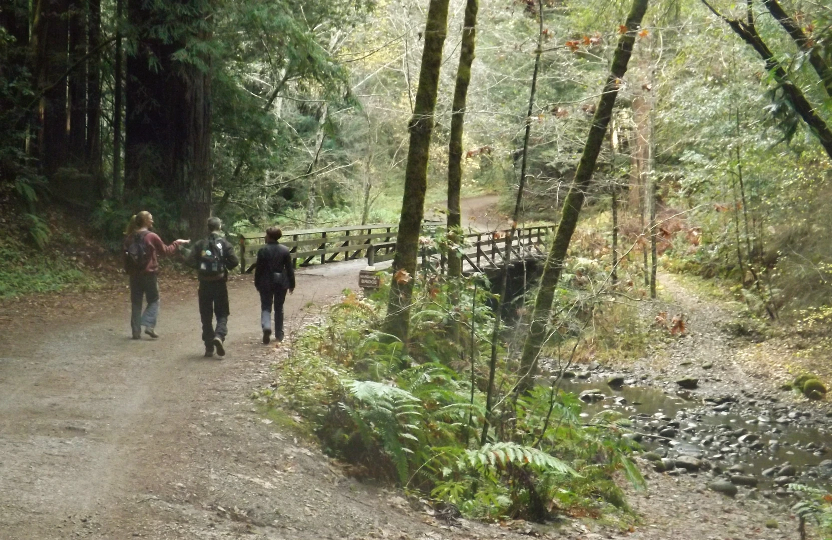 An image depicting the trail Monte Vista via Aptos Creek Fire Road and its surrounding area.