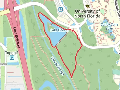 LAke Oneida via Blueberry Trail and Goldenrod Trail