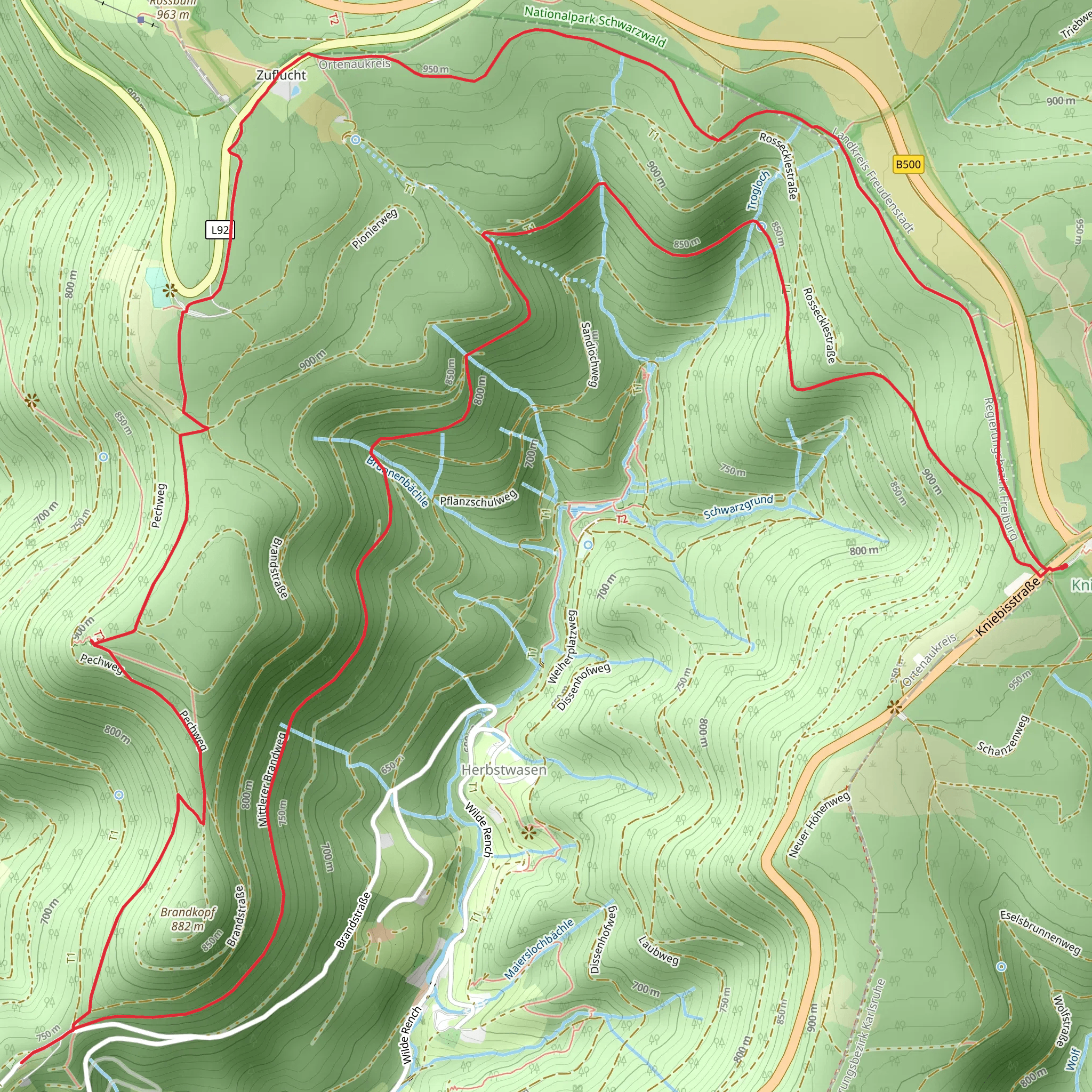 Buchkopfturm Loop via Renchtalsteig mobile static map