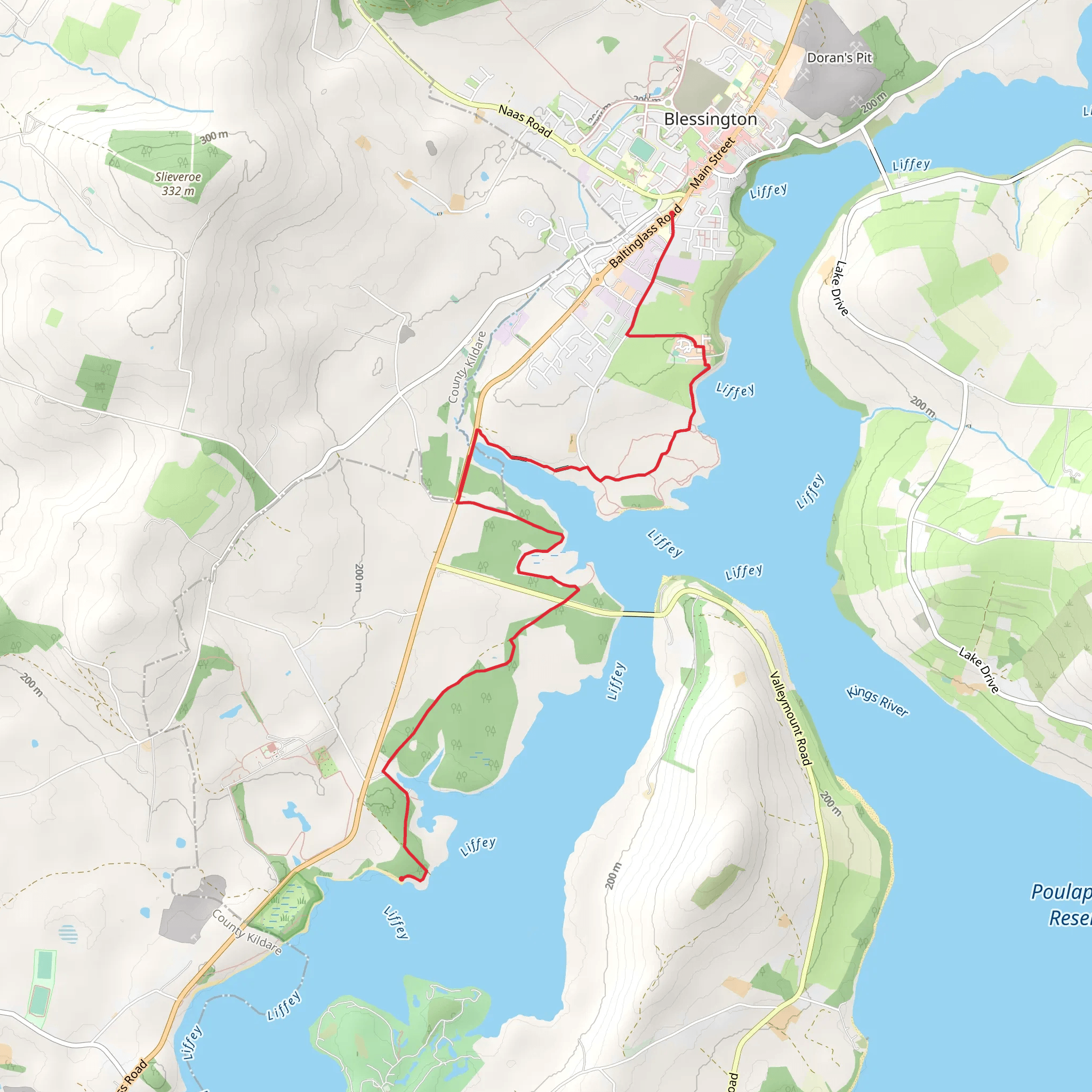Blessington Greenway mobile static map