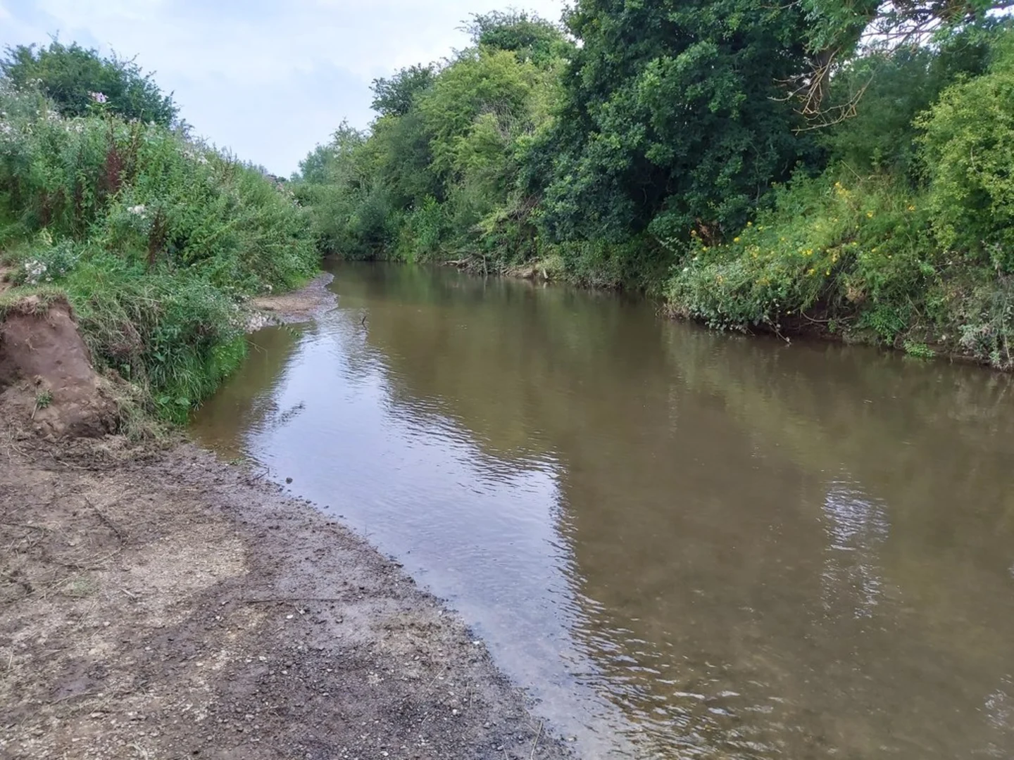 An image depicting the trail Penhurst Country Park Loop and its surrounding area.