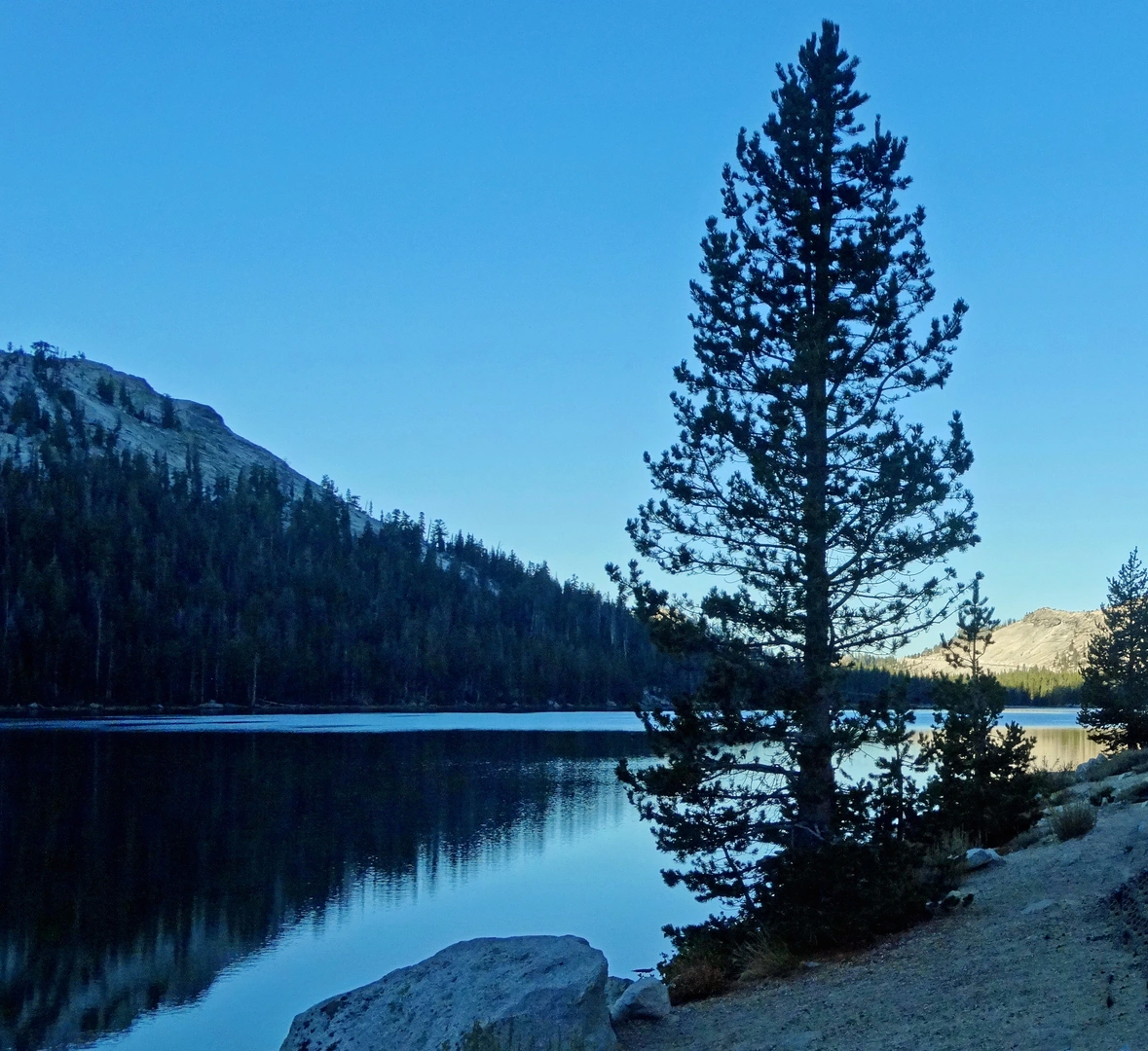 An image depicting the trail John Muir and Clouds Rest Trail - Happy Isles and its surrounding area.