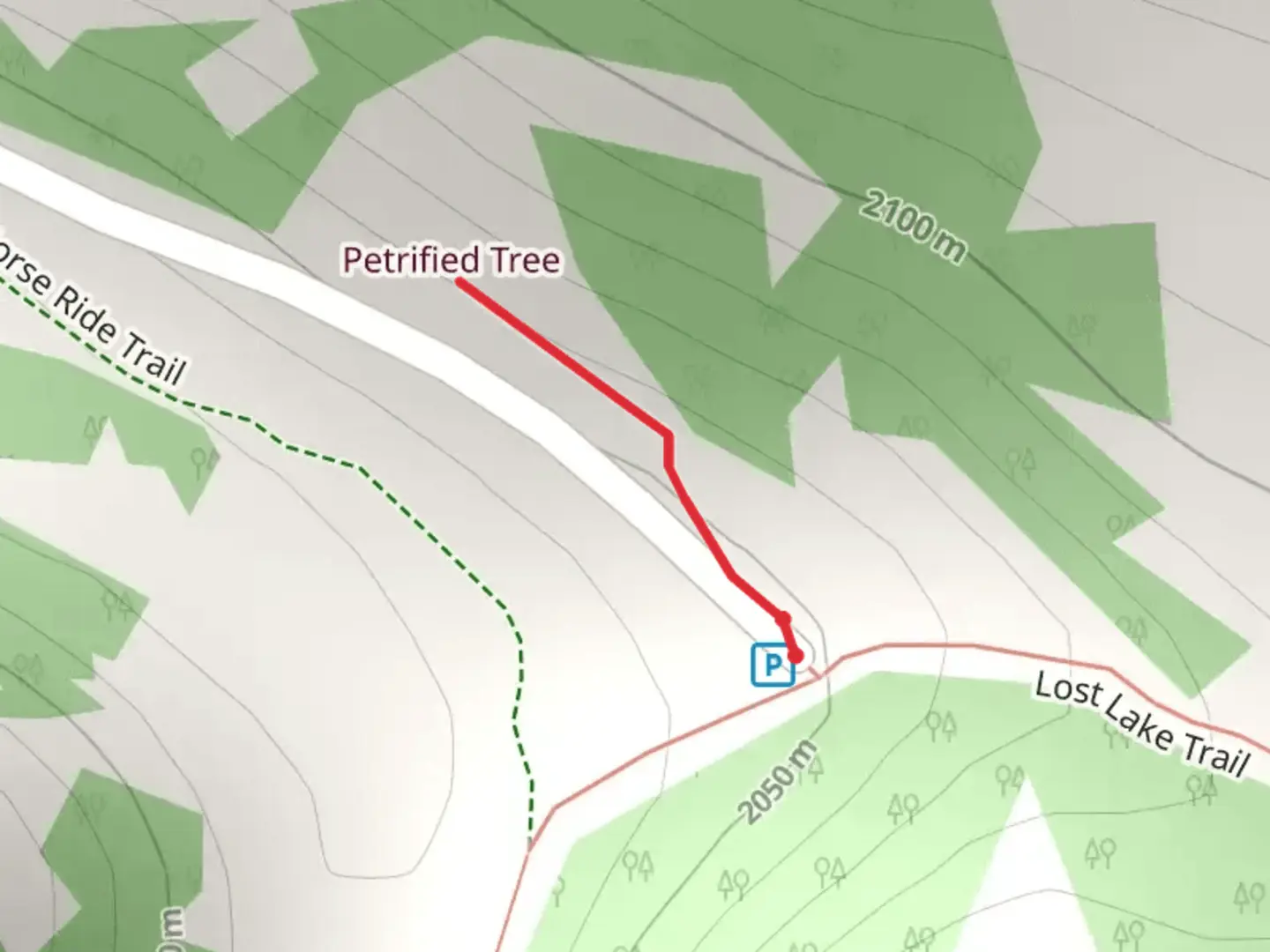 An image depicting the trail Petrified Tree Walk and its surrounding area.