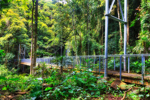 Crystal Shower Falls Walk