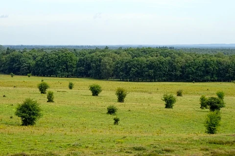 Valenberg, Pranken Wambuis and Roekelse Bos Loop