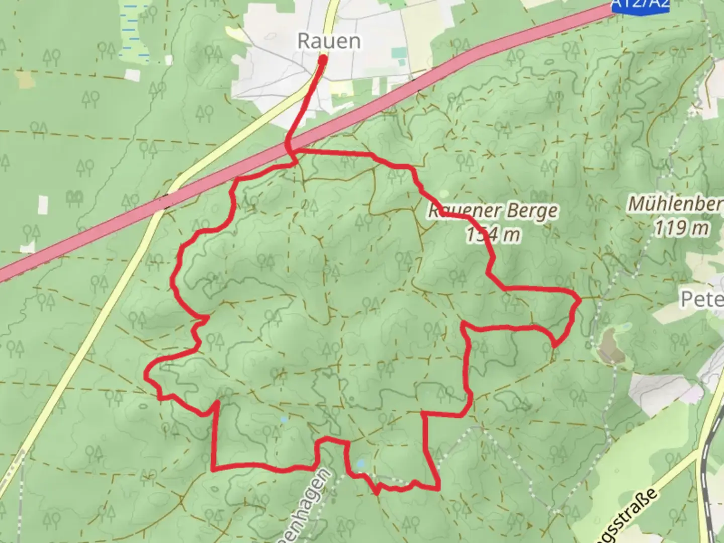 An image depicting the trail Rauener Loop and its surrounding area.