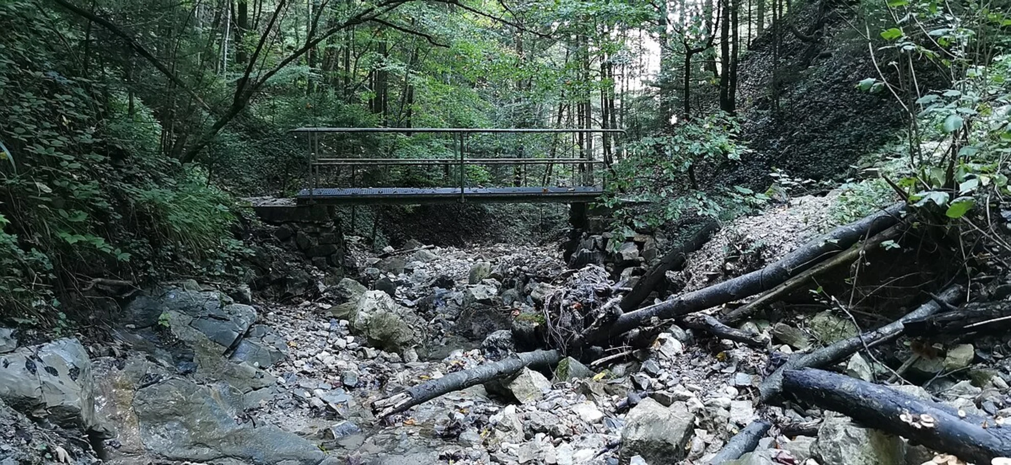 An image depicting the trail Bad Feilnbach Loop and its surrounding area.