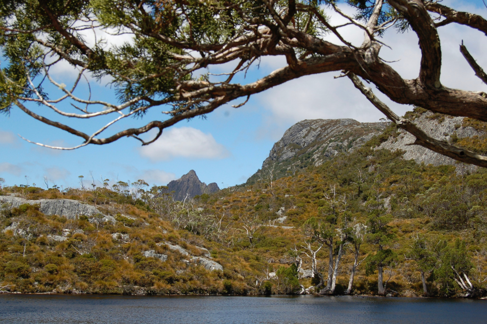 An image depicting the trail Crater Lake Track and its surrounding area.