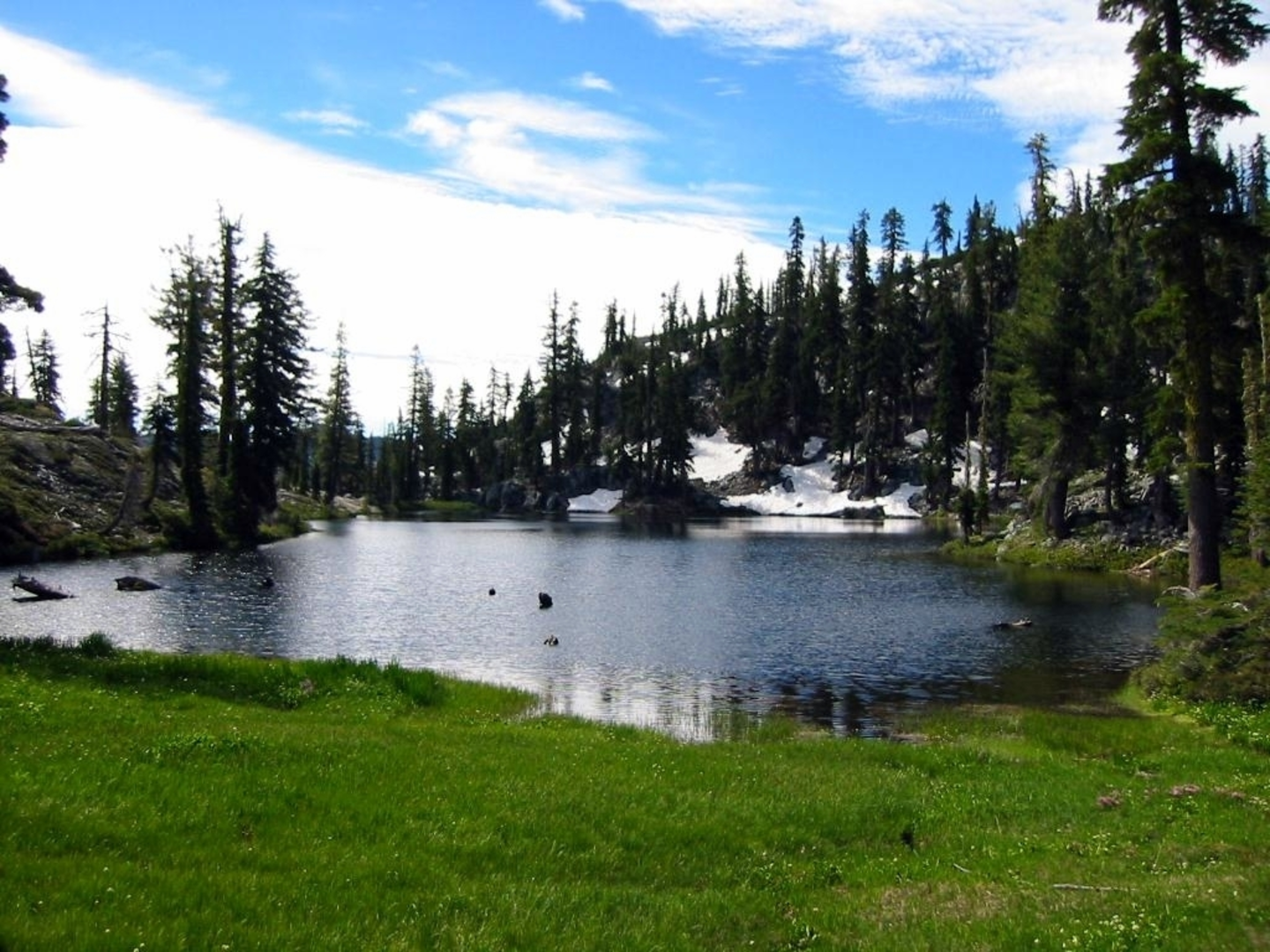 An image depicting the trail Horseshoe and Ward Lakes via Swift Creek Trail and its surrounding area.