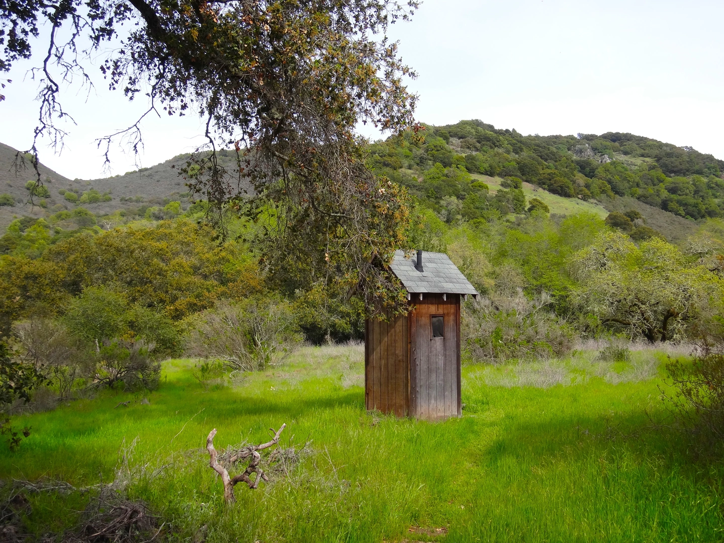 An image depicting the trail Buckeye and Skyline Loop Trail and its surrounding area.