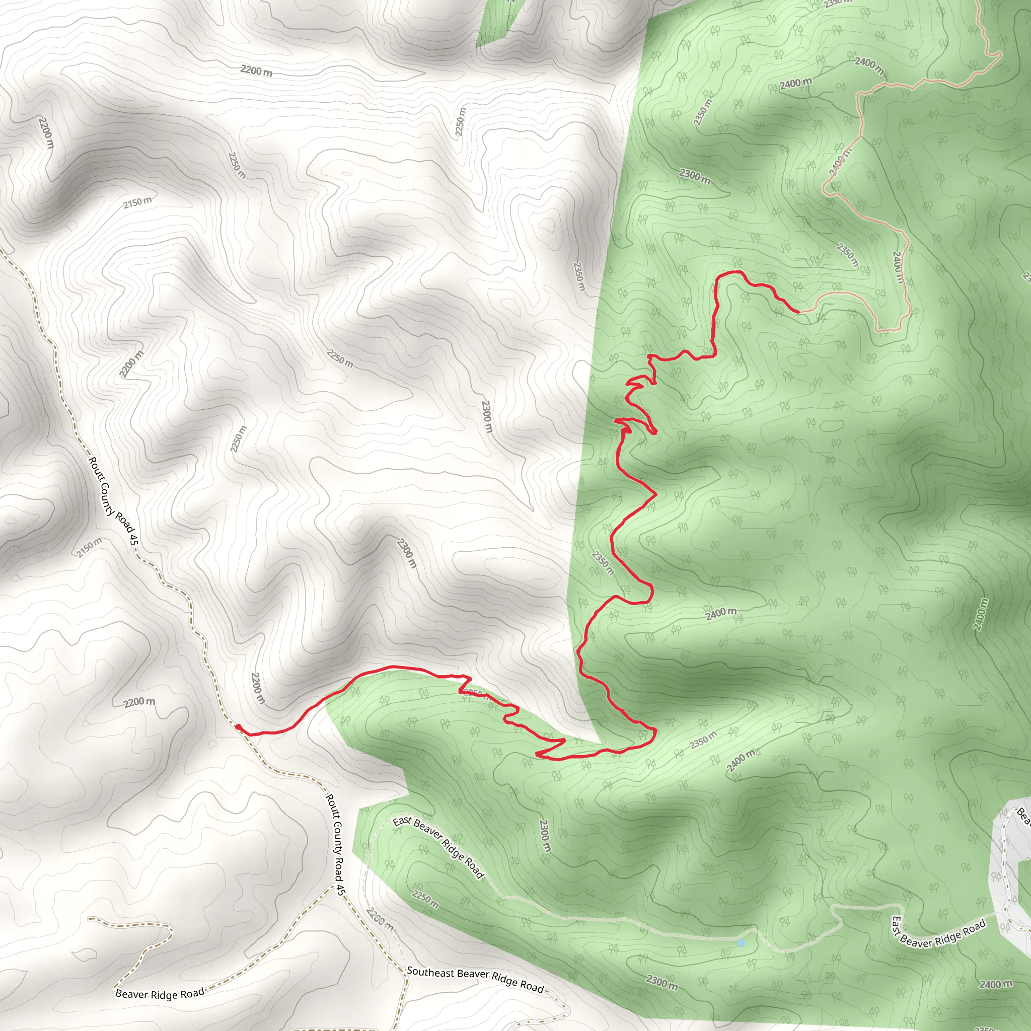 Beall Trail Out and Back mobile static map