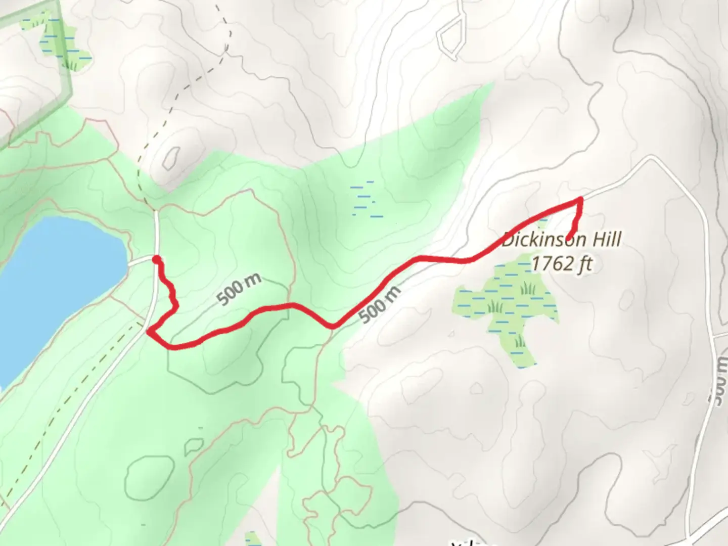 An image depicting the trail Dickinson Hill via Fire Tower Trail and its surrounding area.