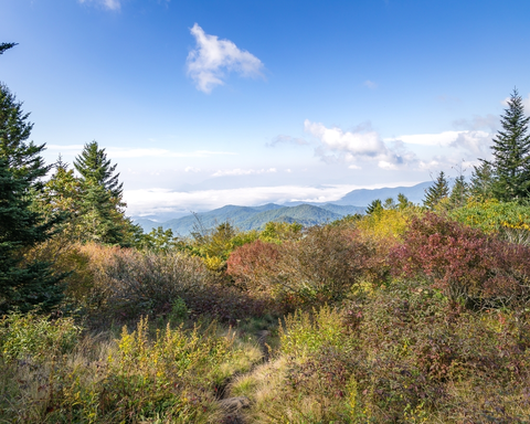 An image depicting the trail Noland Creek Trail and its surrounding area.