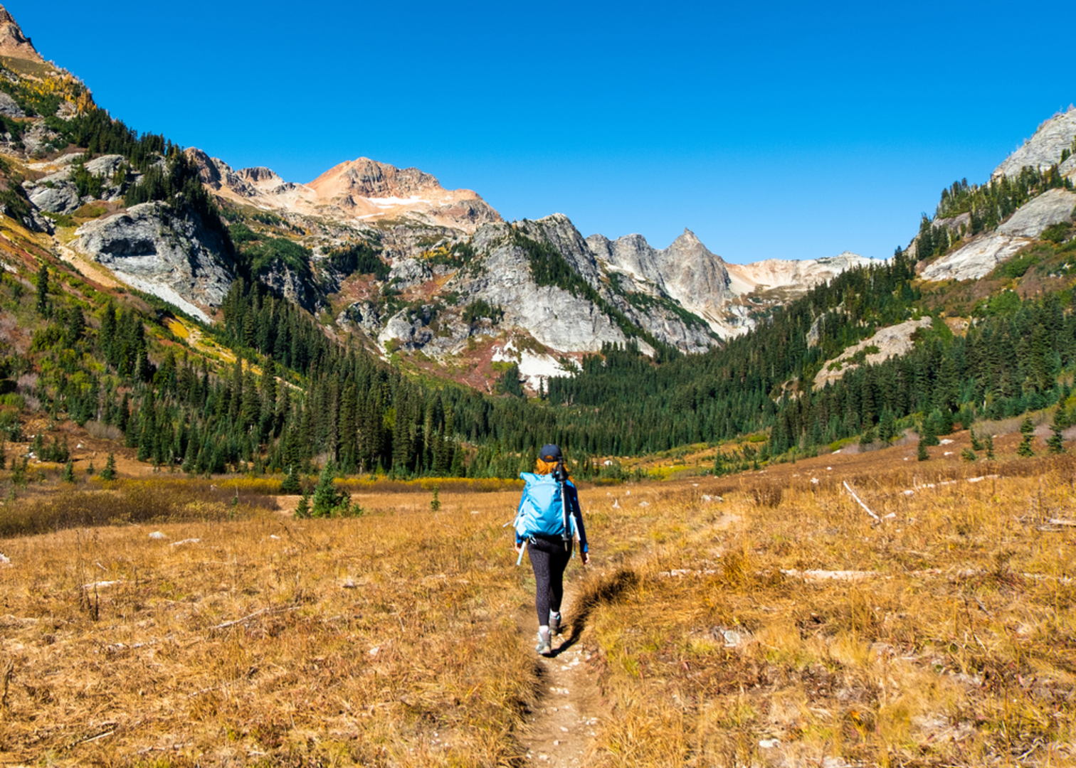 An image depicting the trail Spider Gap - Buck Creek Pass Loop Via Lyman Lake and its surrounding area.
