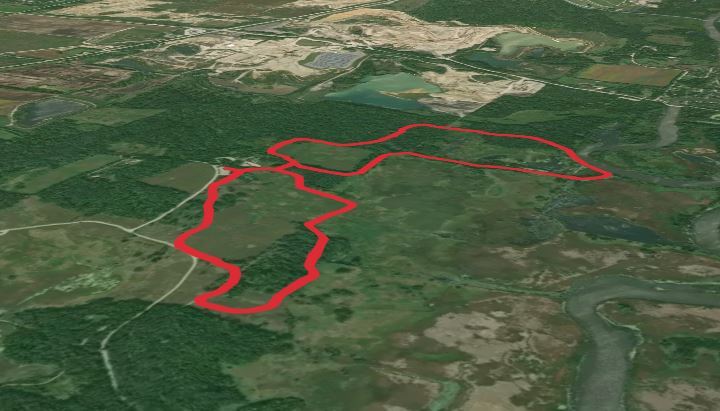 Gold Finch and Badger Loop Trail