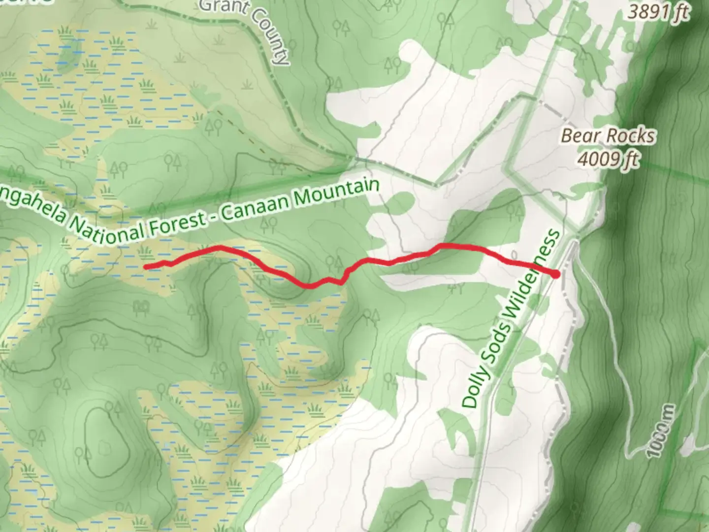 An image depicting the trail Bear Rock Trail and its surrounding area.