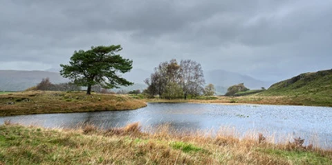 An image depicting the trail Park Coppice, Torver Common Wood and Long Moss Loop and its surrounding area.