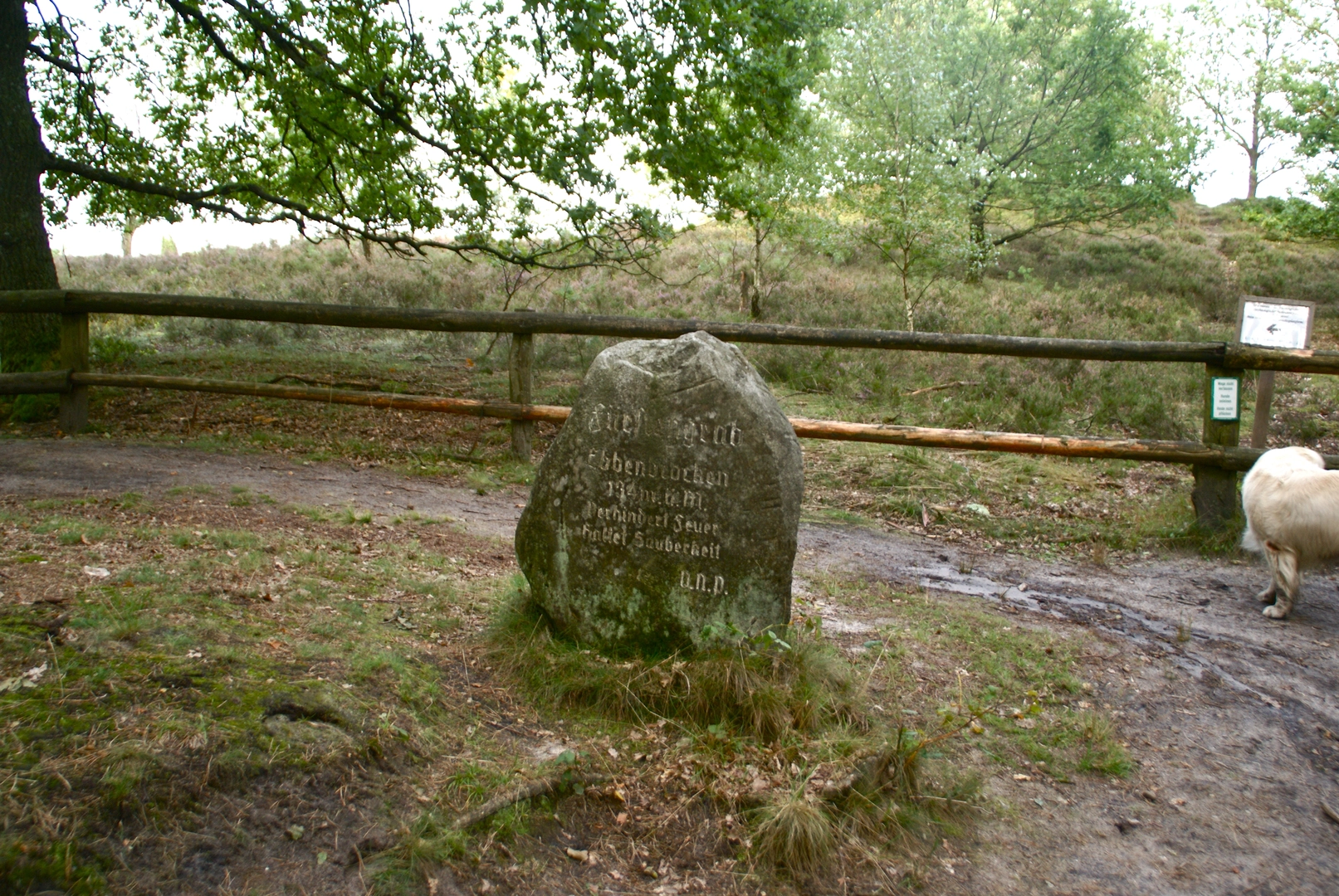 An image depicting the trail Heideschleife Wilseder Berg and Niederhaverbeck and its surrounding area.