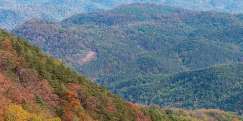 An image depicting the trail Jacks River to Cowpen Mountain and its surrounding area.