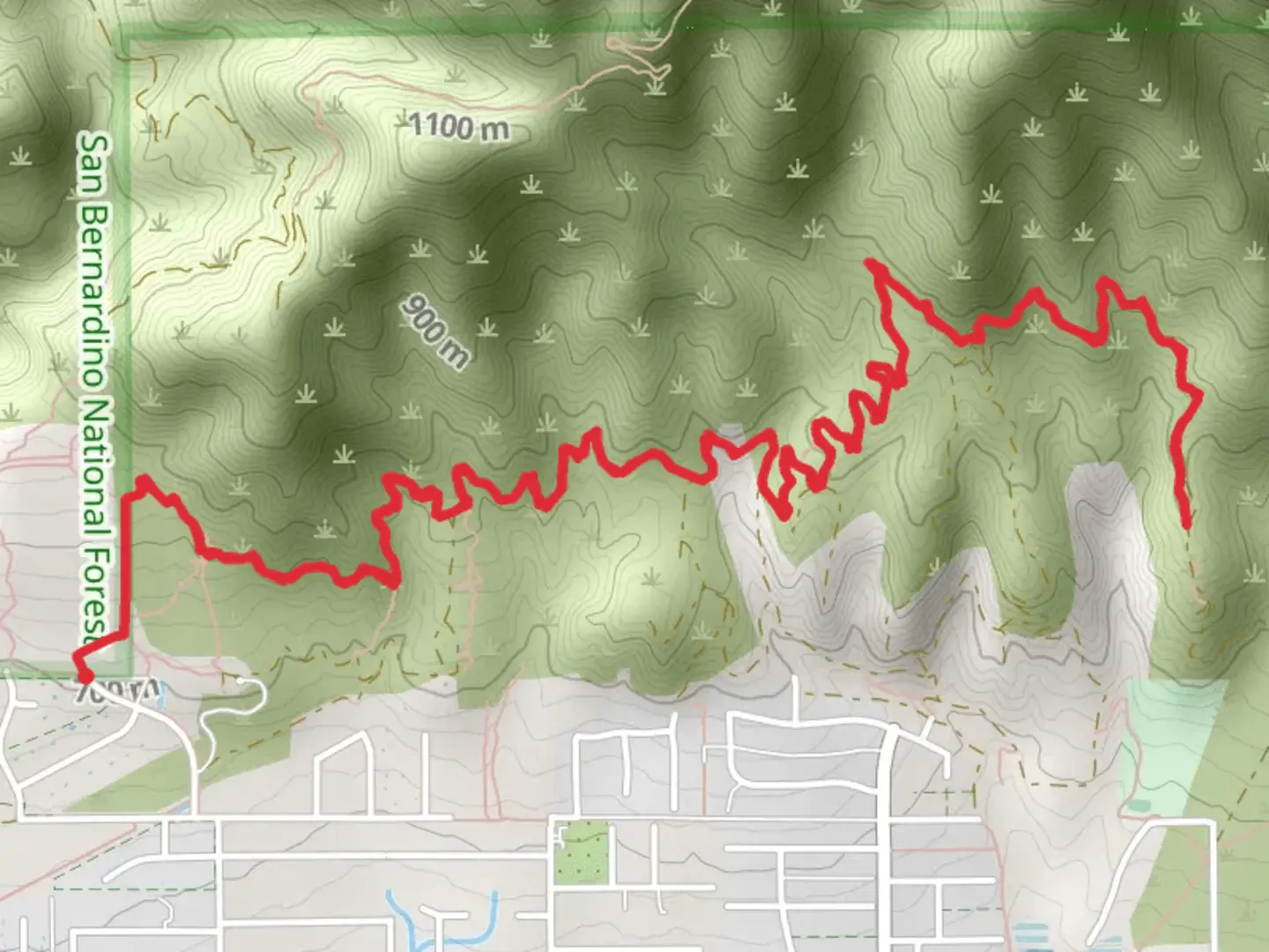An image depicting the trail Big Tree Cucamonga Road and its surrounding area.
