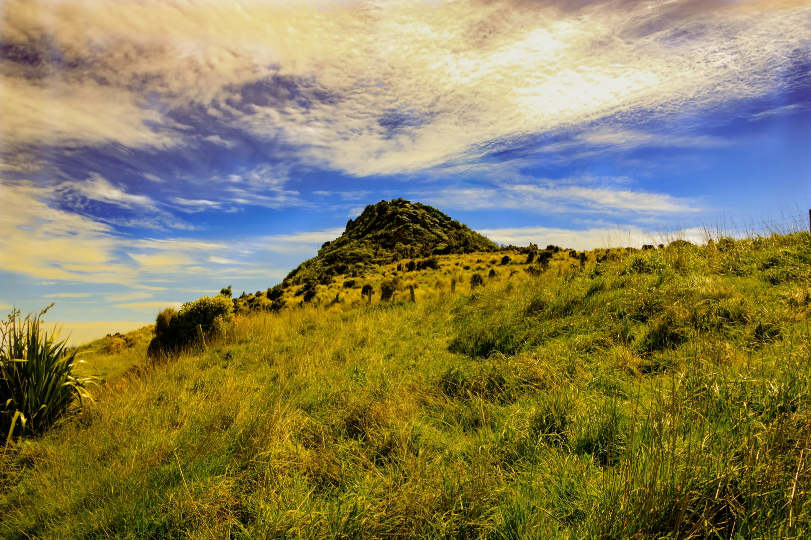 An image depicting the trail Omahu Bush and Gibraltar Rock Circuit and its surrounding area.